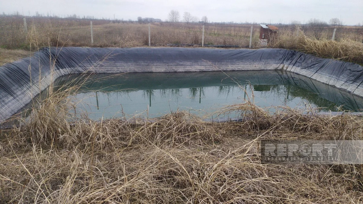 В Хачмазе в озере обнаружен труп мужчины 