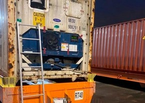 В Санкт-Петербурге пресечена контрабанда 50 кг кокаина из Латинской Америки