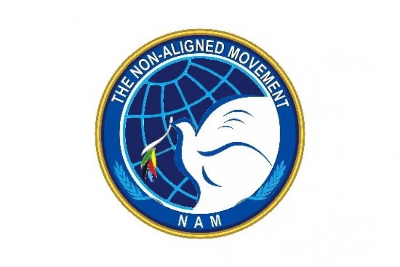 Ministers of Non-Aligned Movement mull fight against COVID-19