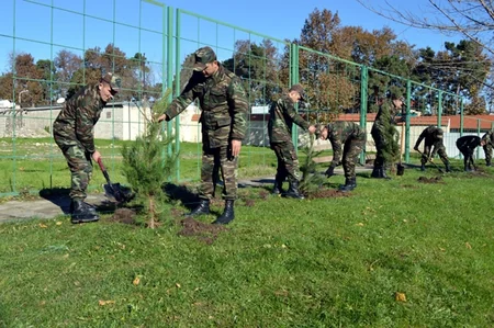 ​Silahlı Qüvvələrdə ağacəkmə aksiyasına start verilib