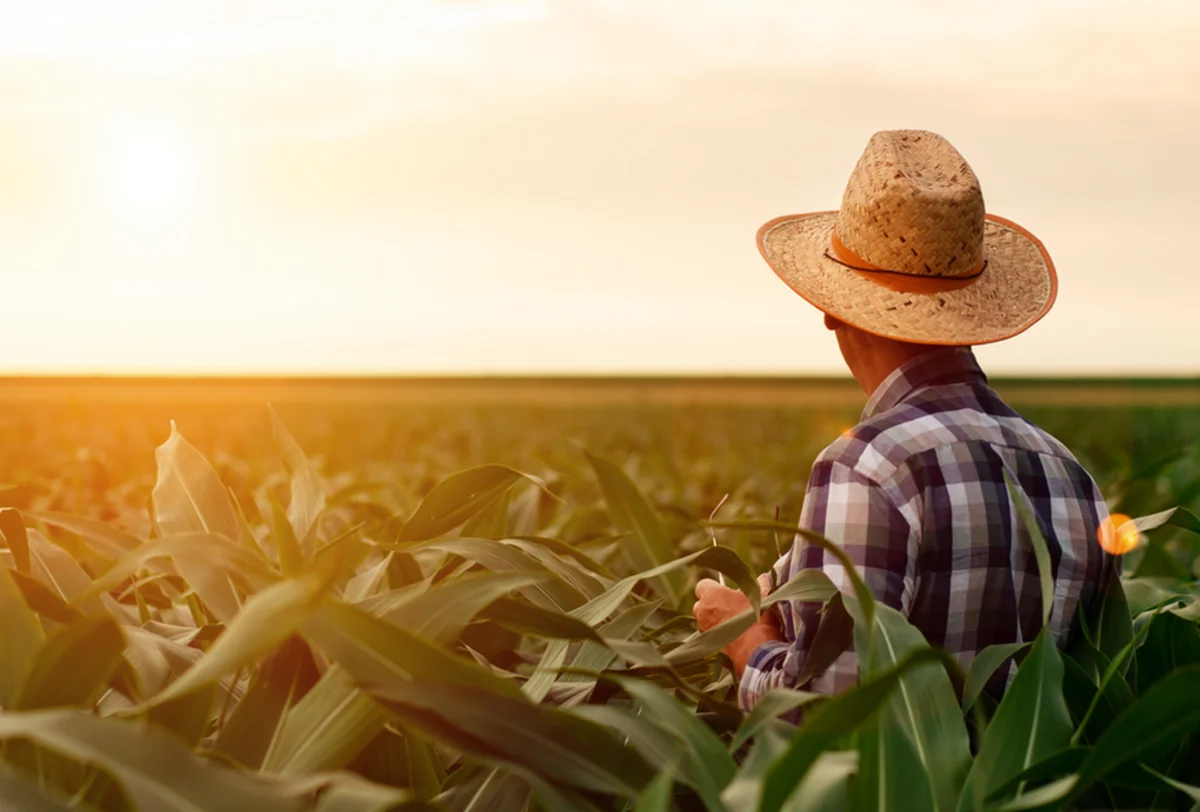 Azərbaycanda fermerlərə 62 milyon manata yaxın subsidiya ödənilib