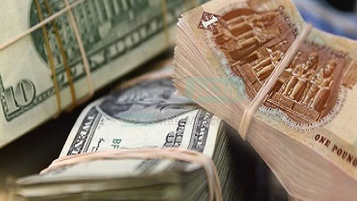 Египетский фунт упал до исторического минимума