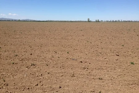 SKMF Tovuzdan olan sahibkarlara 309 min manat güzəştli kredit verib