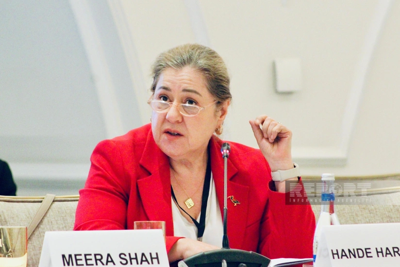 COP29 'pivotal event for global decision-making,' WHO representative says