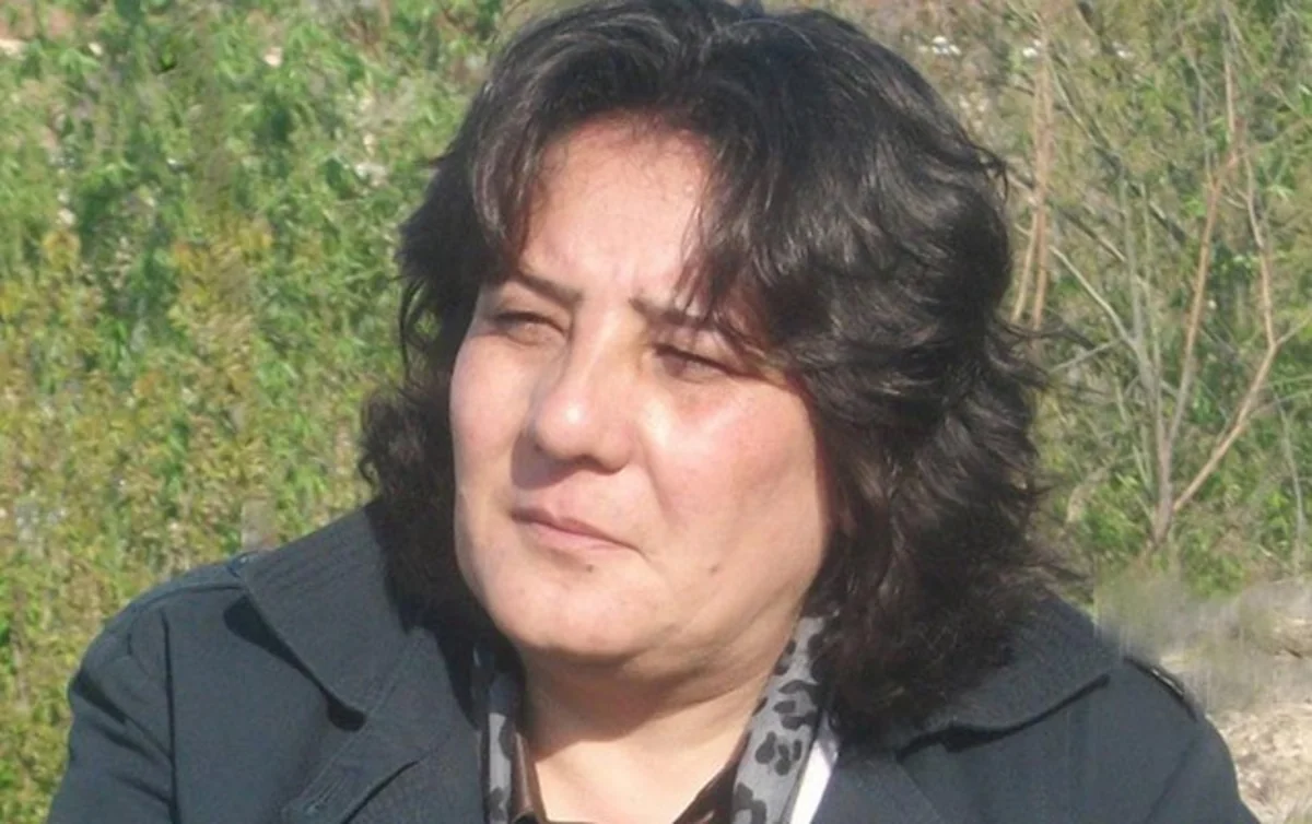 Gözəl Bayramlının apellyasiya şikayəti təmin edilməyib