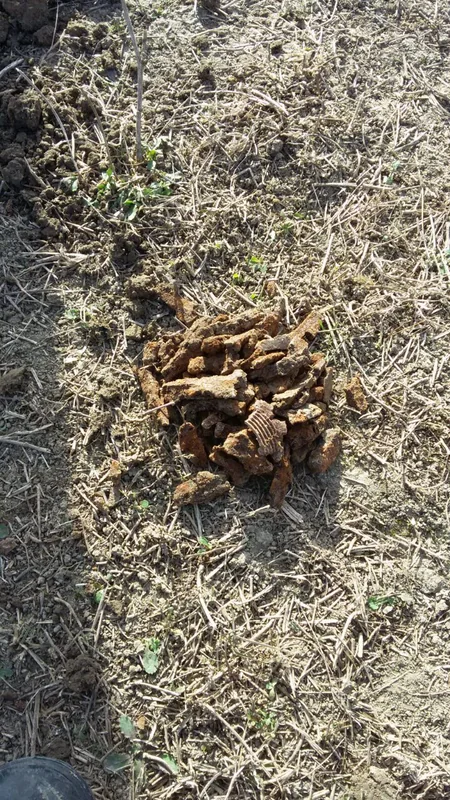 Tərtərdə top mərmisinin qalıqları aşkarlanıb