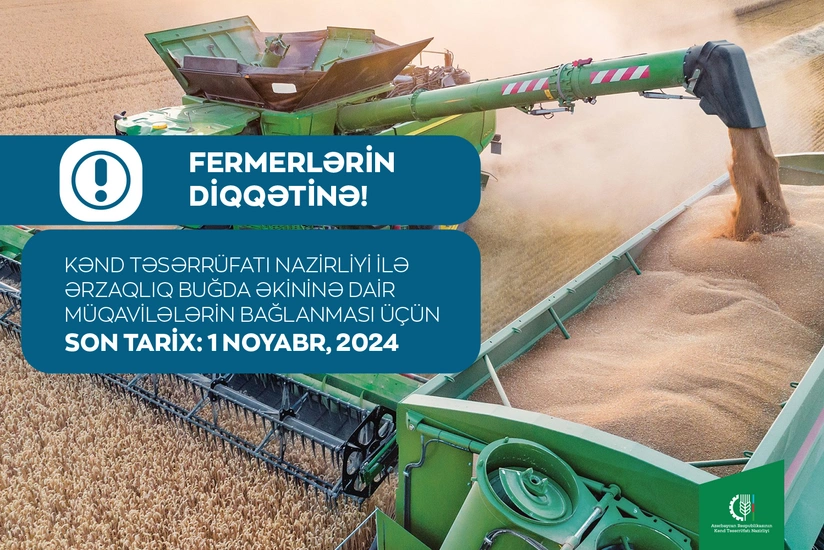 Kənd Təsərrüfatı Nazirliyi ərzaqlıq buğda istehsalçılarına müraciət edib