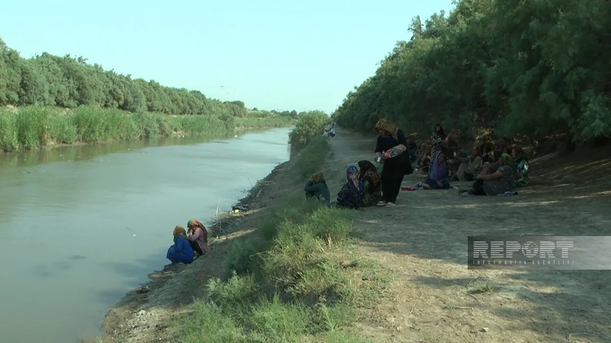 Sabirabadda kanalda boğulan 20 yaşlı gəncin meyiti tapılıb - YENİLƏNİB
