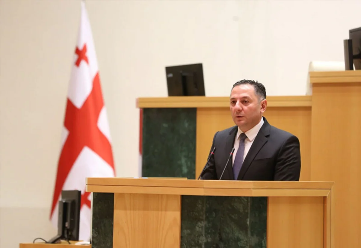 Gürcüstanın daxili işlər naziri nümayişçilərə xəbərdarlıq edib