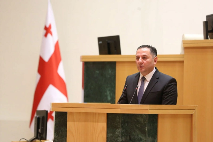 Gürcüstanın daxili işlər naziri nümayişçilərə xəbərdarlıq edib