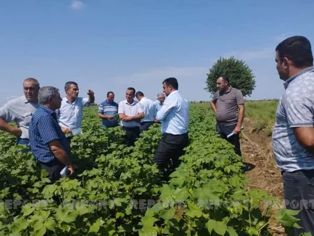 Biləsuvarda pambıqçı fermerlərə təlim keçirilib