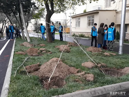 BŞİH: Bakının bütün rayonlarında abadlaşdırma işləri davam etdirilir