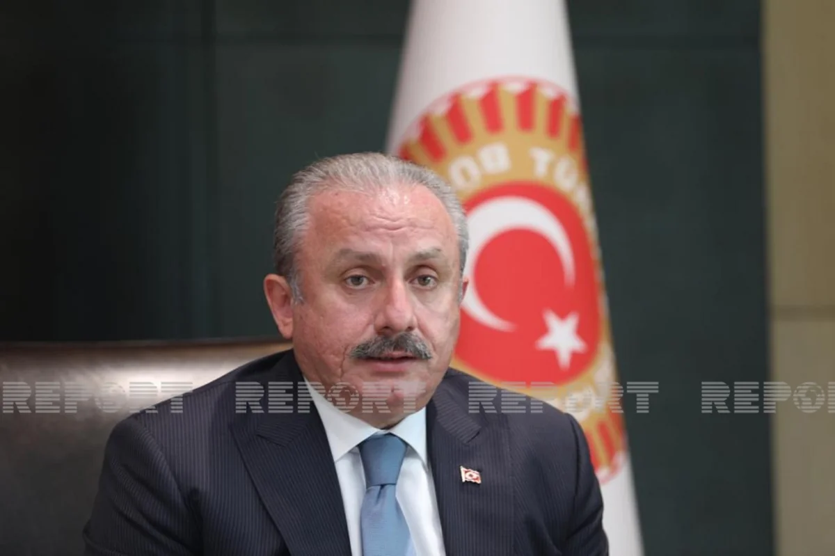 Turkish Parliament Speaker: Azerbaijan's proposal to sign peace treaty with Armenia - important step