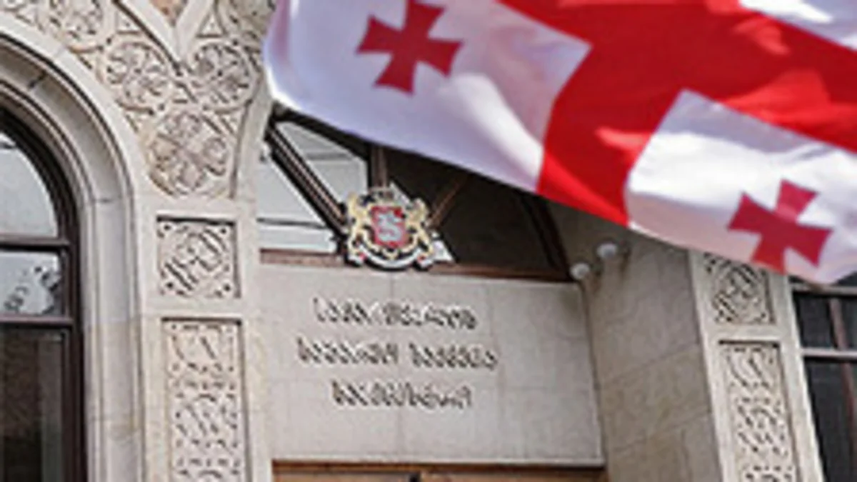 Gürcüstanda diaspor məsələləri ilə xüsusi departament məşğul olacaq
