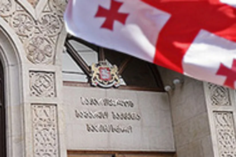 Gürcüstanda diaspor məsələləri ilə xüsusi departament məşğul olacaq