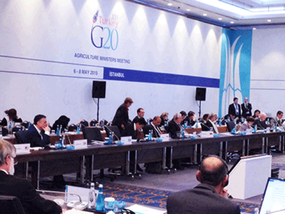 Azərbaycanın kənd təsərrüfatı nazirinin müavini İstanbulda G20-nin hazırlıq iclasında iştirak edir