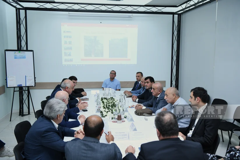 Qurumuş və qəzalı ağacların götürülməsi ilə bağlı ictimai dinləmə keçirilib