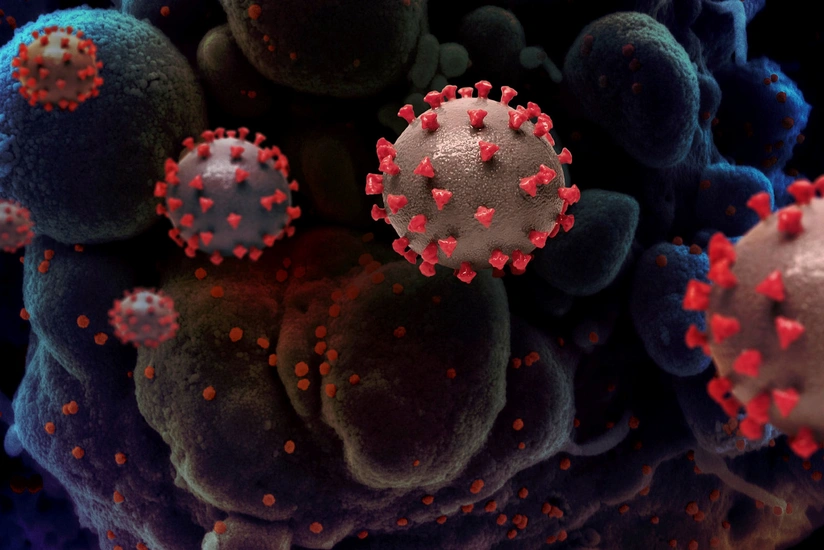 Azərbaycanda mutasiyaya uğramış virus qeydə alınsa hansı addımlar atılacaq?