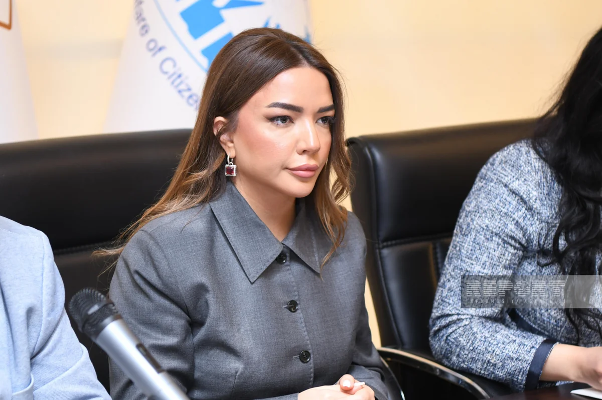 Aygun Aliyeva: Global South NGO Platform - another innovation for Azerbaijan