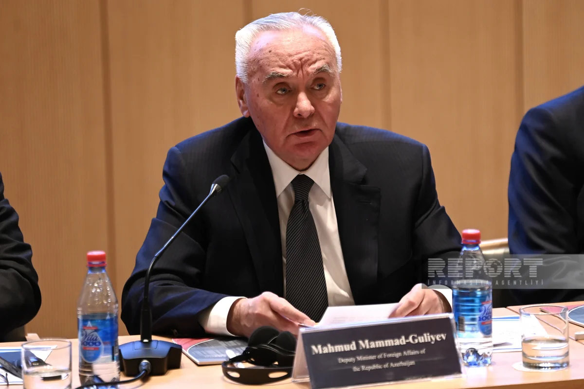 Deputy FM: Armenia impeded sending of UNESCO mission to Azerbaijan