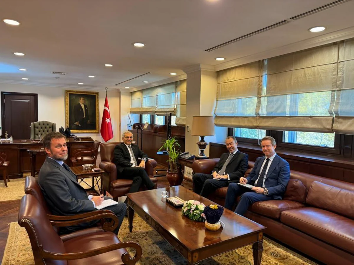 Turkish Deputy FM discusses situation in South Caucasus with EU representative