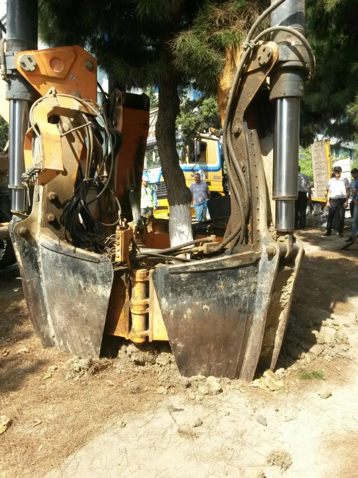 Bakıda yol tikintisi ilə bağlı 34 ağac köçürülür