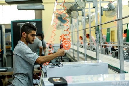Azərbaycan Rusiya, Gürcüstan və Ukraynaya kombi ixrac edə bilər - FOTO