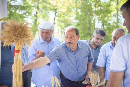 İsmayıllıda toxum sərgi-satış yarmarkası keçirilib