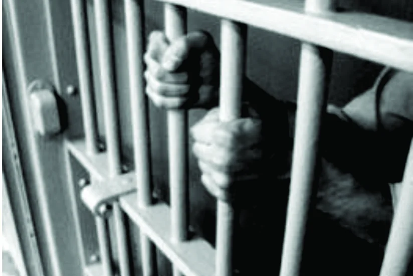 Увеличен срок наказания азербайджанца, примкнувшего к ИГИЛ