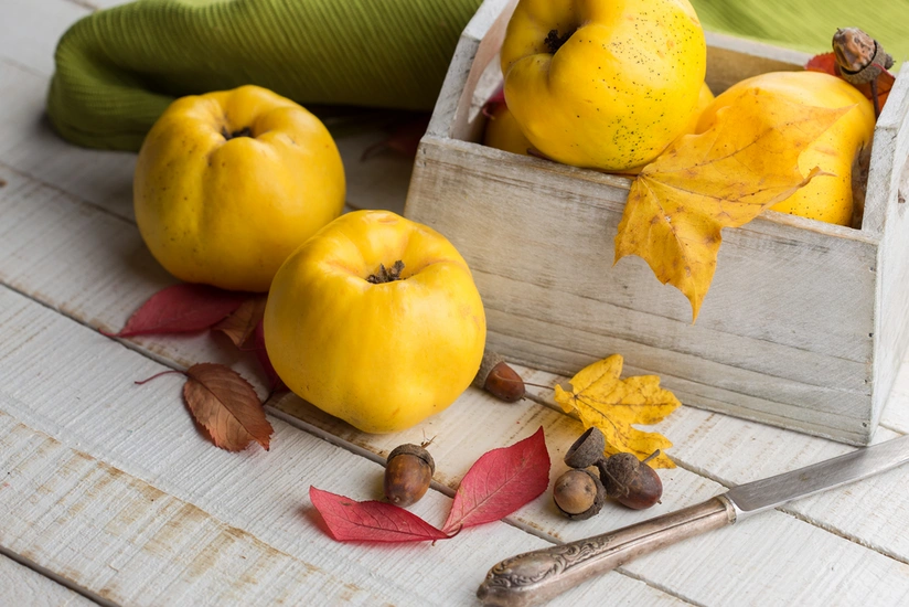Azerbaijan starts importing quince from Russia and Uzbekistan
