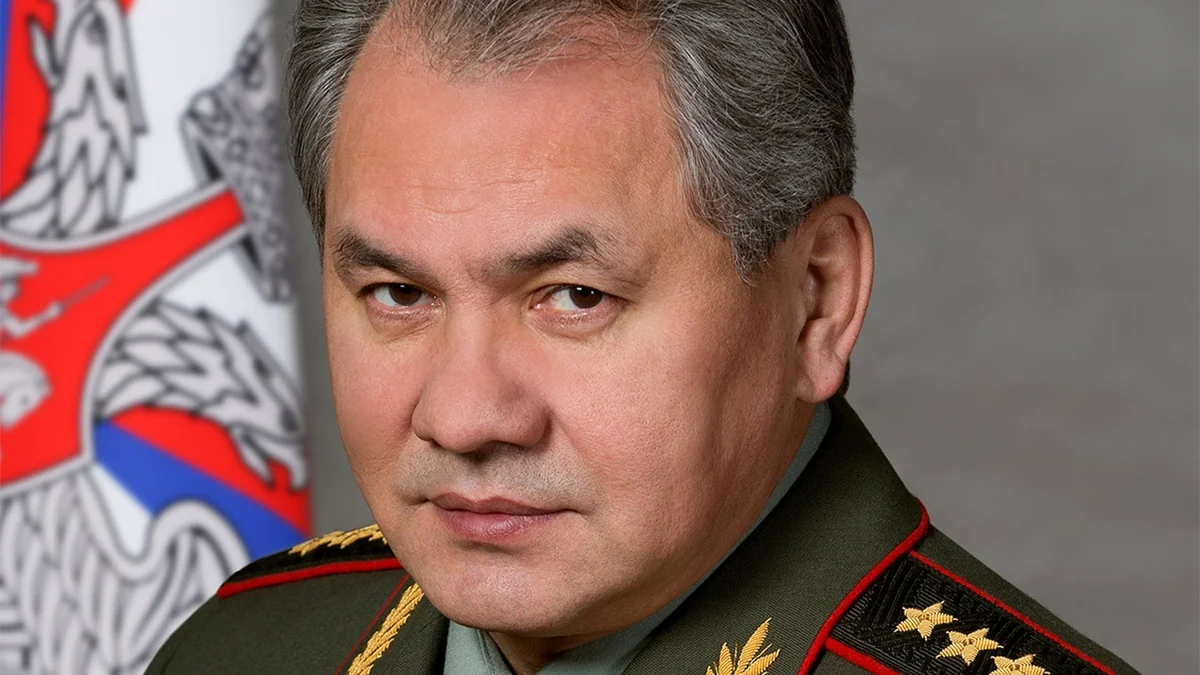 Шойгу призвал страны СНГ к расширению военного сотрудничества из-за обстановки на границах