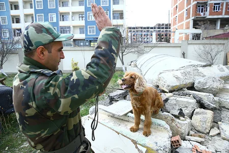 Dog from Azerbaijan helps rescue 3 people from rubble in Kahramanmaras
