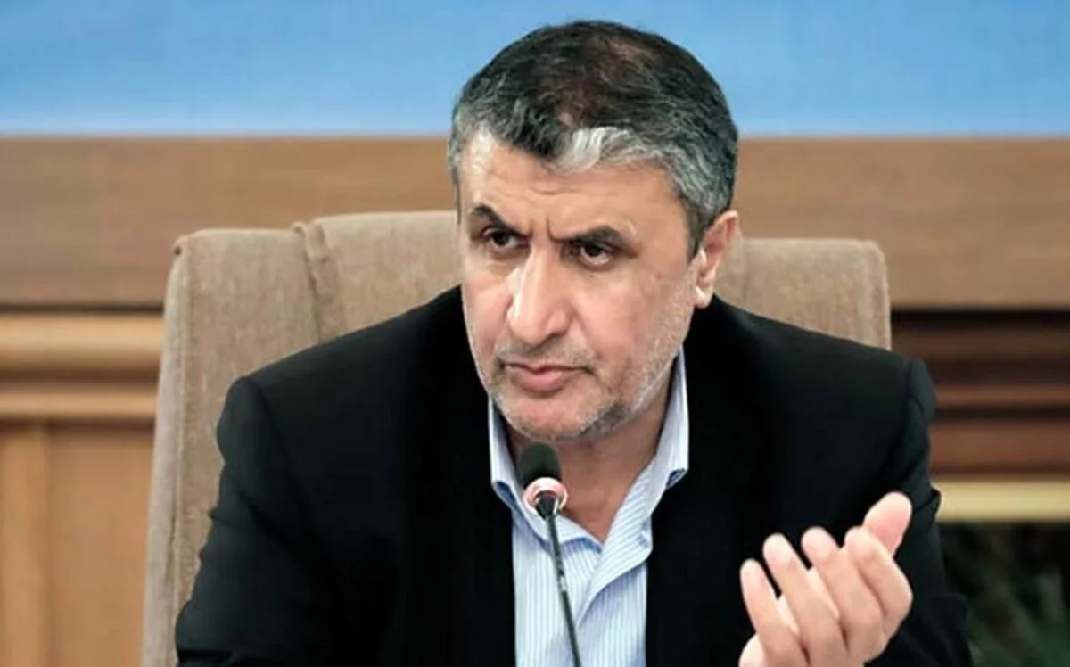 İran Atom Enerjisi Təşkilatının yeni rəhbəri təyin olunub