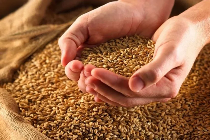 Азербайджан закупит зерно у Татарстана