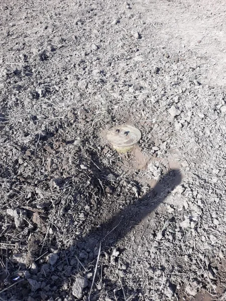 На освобожденных территориях обезвредили 59 мин