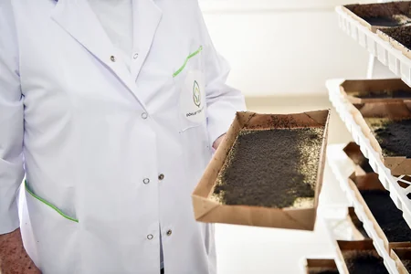 Azərbaycanda 2024-cü il barama mövsümünə start verilib