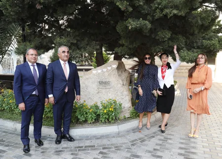 UNEC-də Heydər Əliyev Fondu tərəfindən təşkil olunan distant Çin dili kursları üzrə dərslərə başlanılıb - FOTO