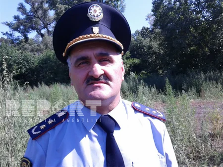 Qaxda 3 250 kq narkotik bitki yandırılaraq məhv edilib