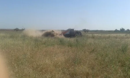 Cocuq Mərcanlıda 1343 ədəd qəlpə aşkarlanıb