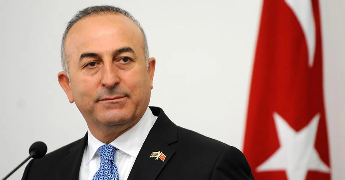 Turkish FM: US supports terrorists in Syria