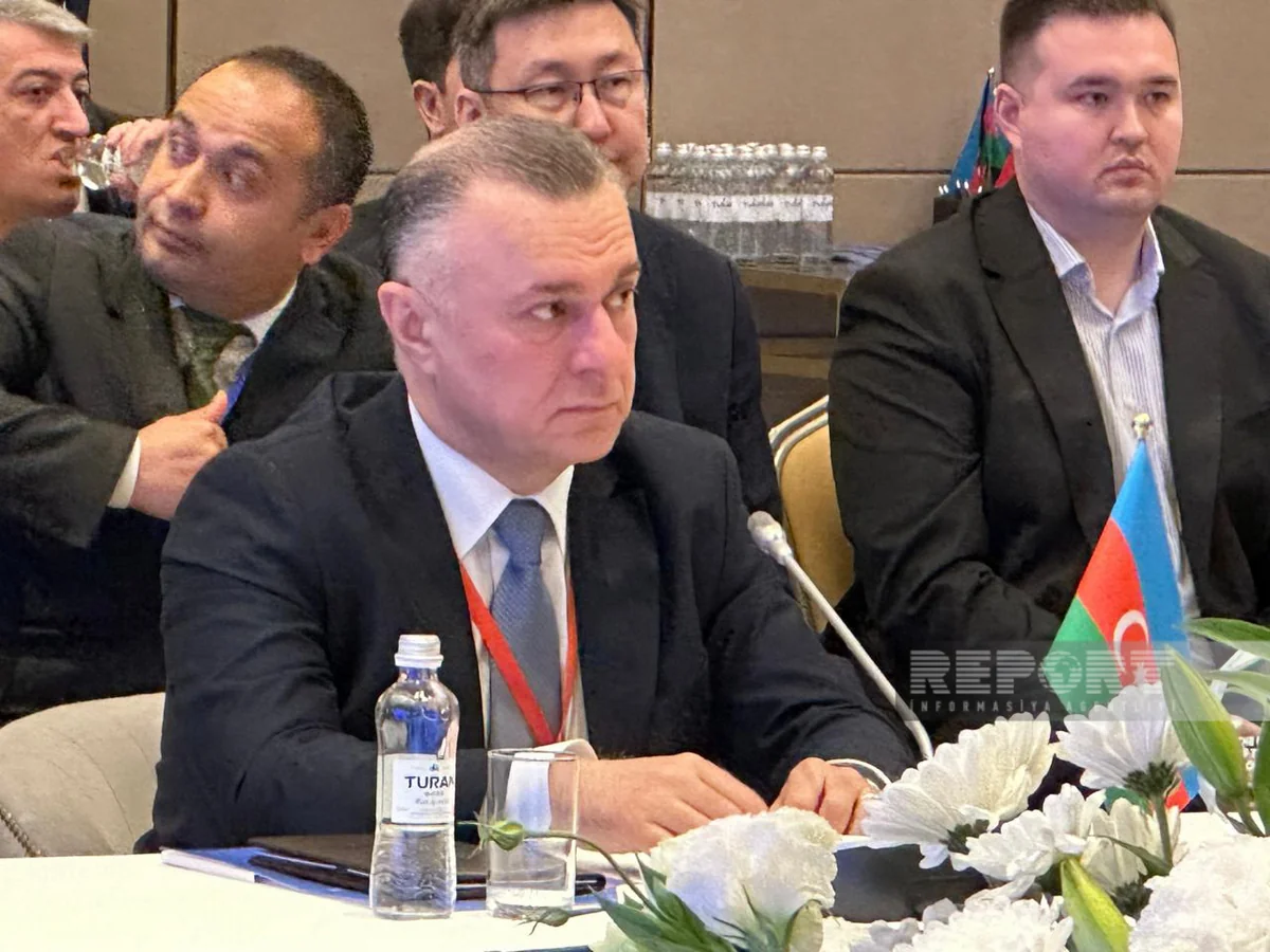 Minister: Rapid application of technologies makes it possible to develop unified e-health standards
