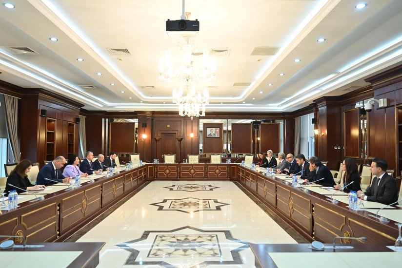 İtaliya parlamentinin nümayəndə heyəti Milli Məclisdə olub