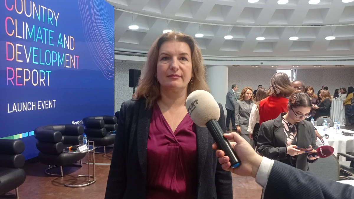 IFC: Azerbaijan has achieved significant results in reducing greenhouse gas emissions