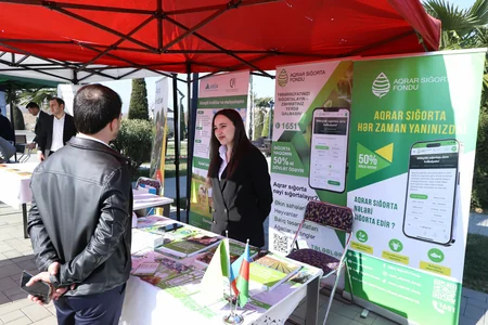 Tovuzda Aqrar Biznes Festivalı keçirilib