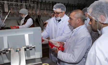 Direktor: Mərcan” toyuqları su ilə deyil, hava ilə soyudulur - REPORTAJ