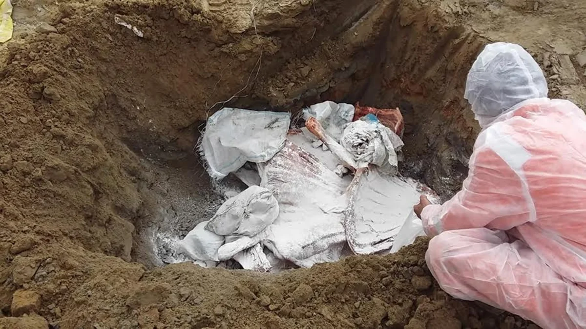Bakıya satış məqsədi ilə gətirilən yararsız heyvan cəmdəkləri zərərsizləşdirilib