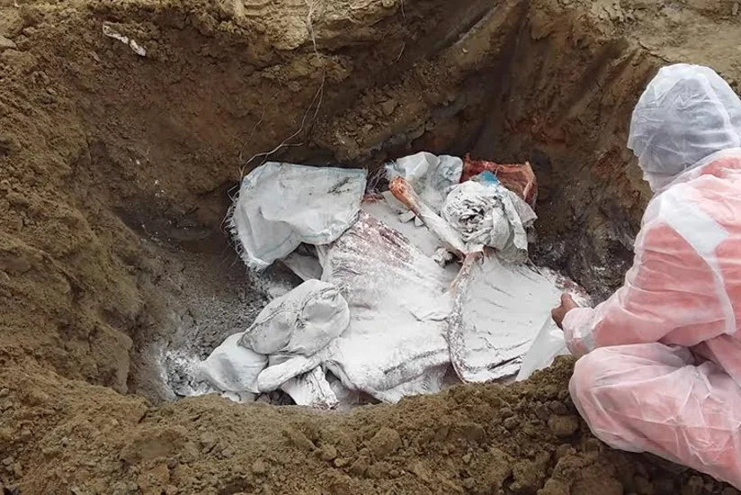 Bakıya satış məqsədi ilə gətirilən yararsız heyvan cəmdəkləri zərərsizləşdirilib