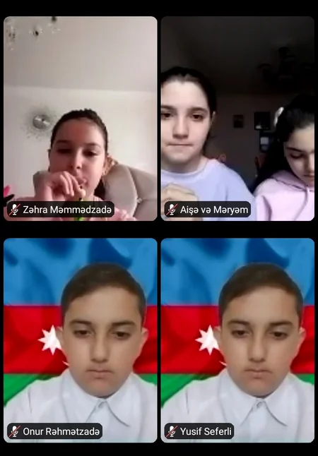 Bakıda məktəblilərə onlayn maarifləndirmə təlimi keçirilib