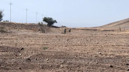 ANAMA-nın əməliyyat meneceri: Cəbrayılda minaaxtaran it öz sahibini qoruyarkən minaya düşərək ölüb