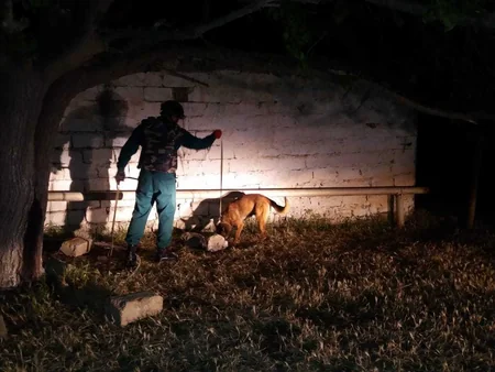 ANAMA mayda 285 partlamamış hərbi sursat zərərsizləşdirib